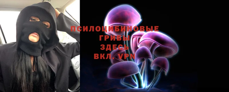 Псилоцибиновые грибы Magic Shrooms  мега зеркало  Старая Купавна 